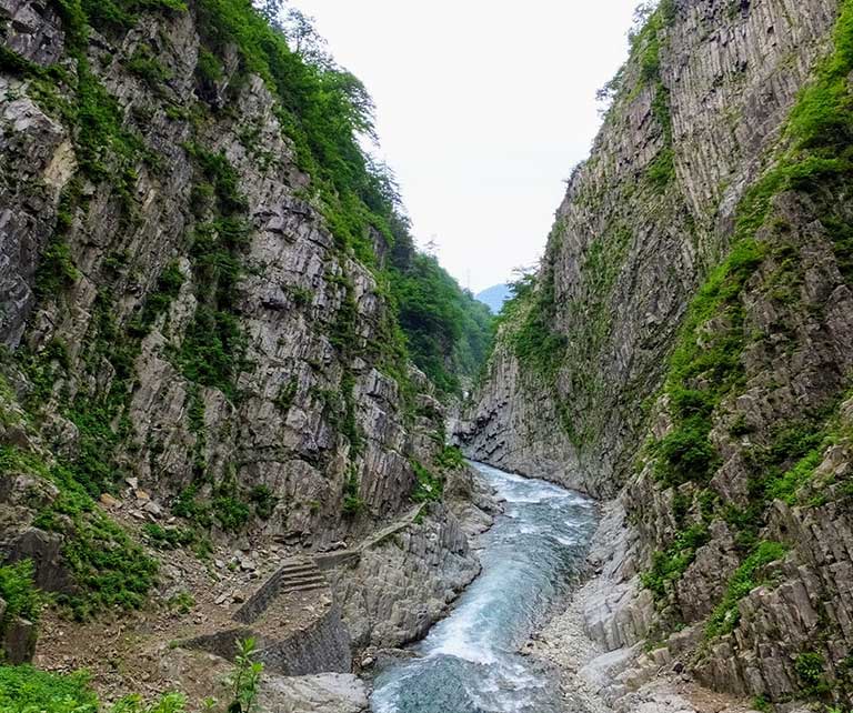 Honda Cars 滋賀南