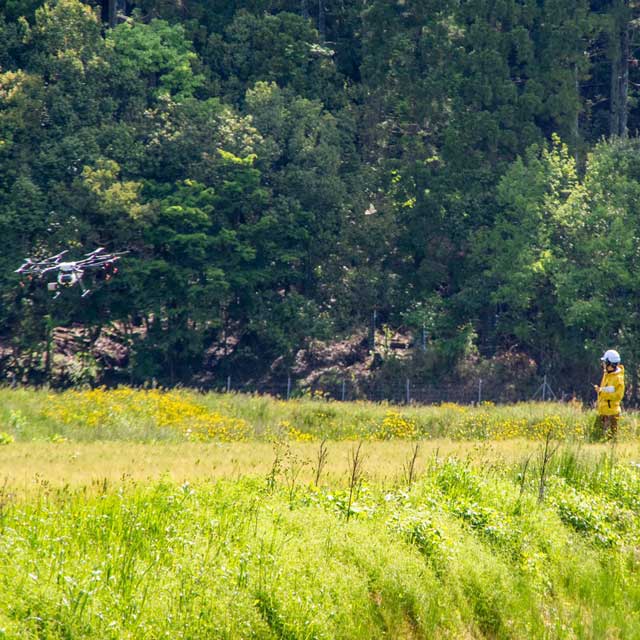 ドローン散布作業
