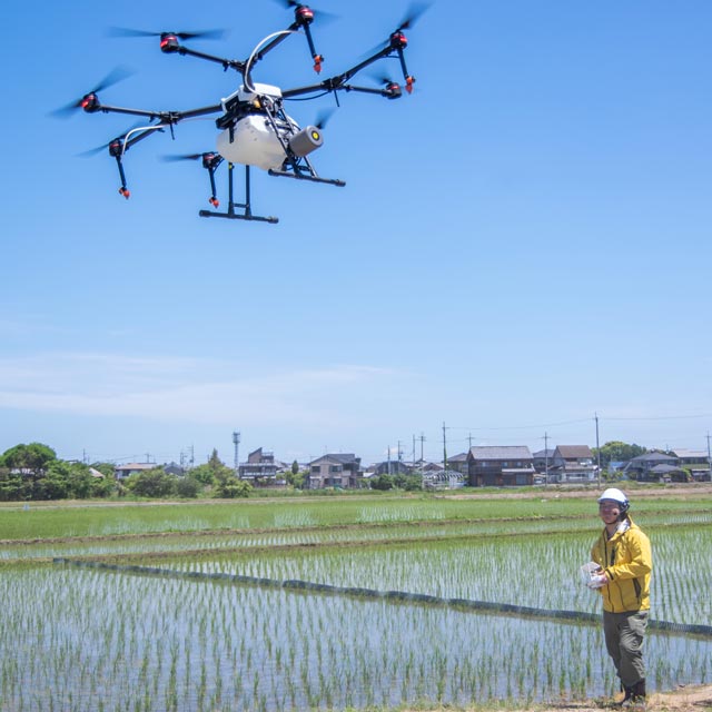 ドローン肥料散布中風景