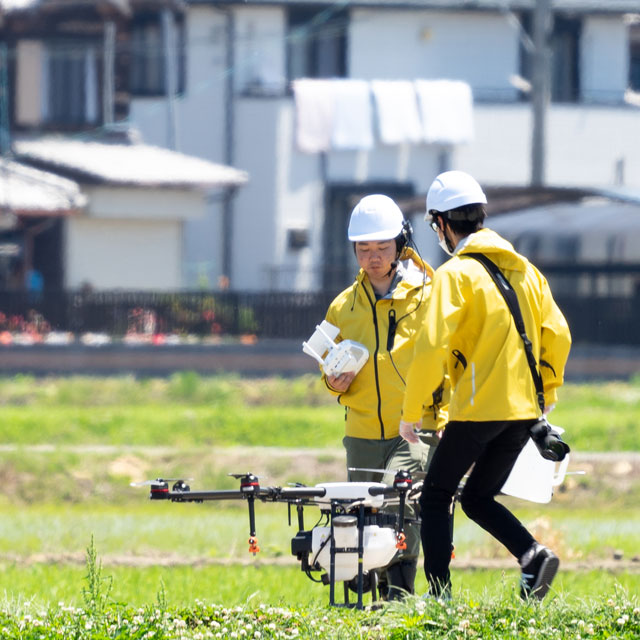 ドローン散布作業